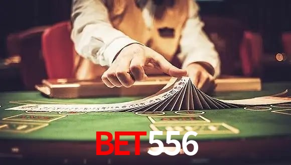 Sports Statistics bet556